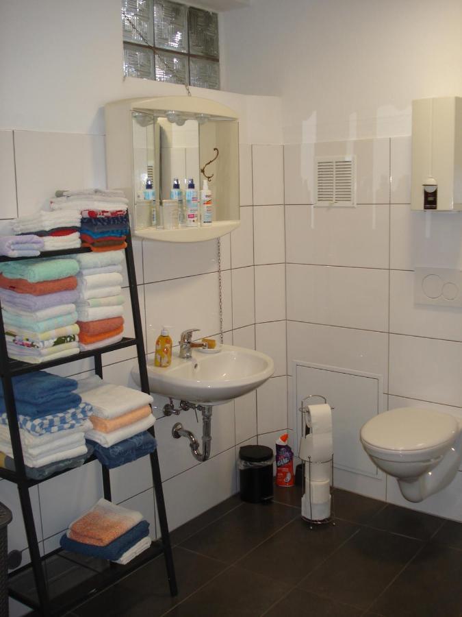 Appartement 45 Qm Mit Bad An Der Mosel - Naehe Koblenz ディーブリヒ エクステリア 写真